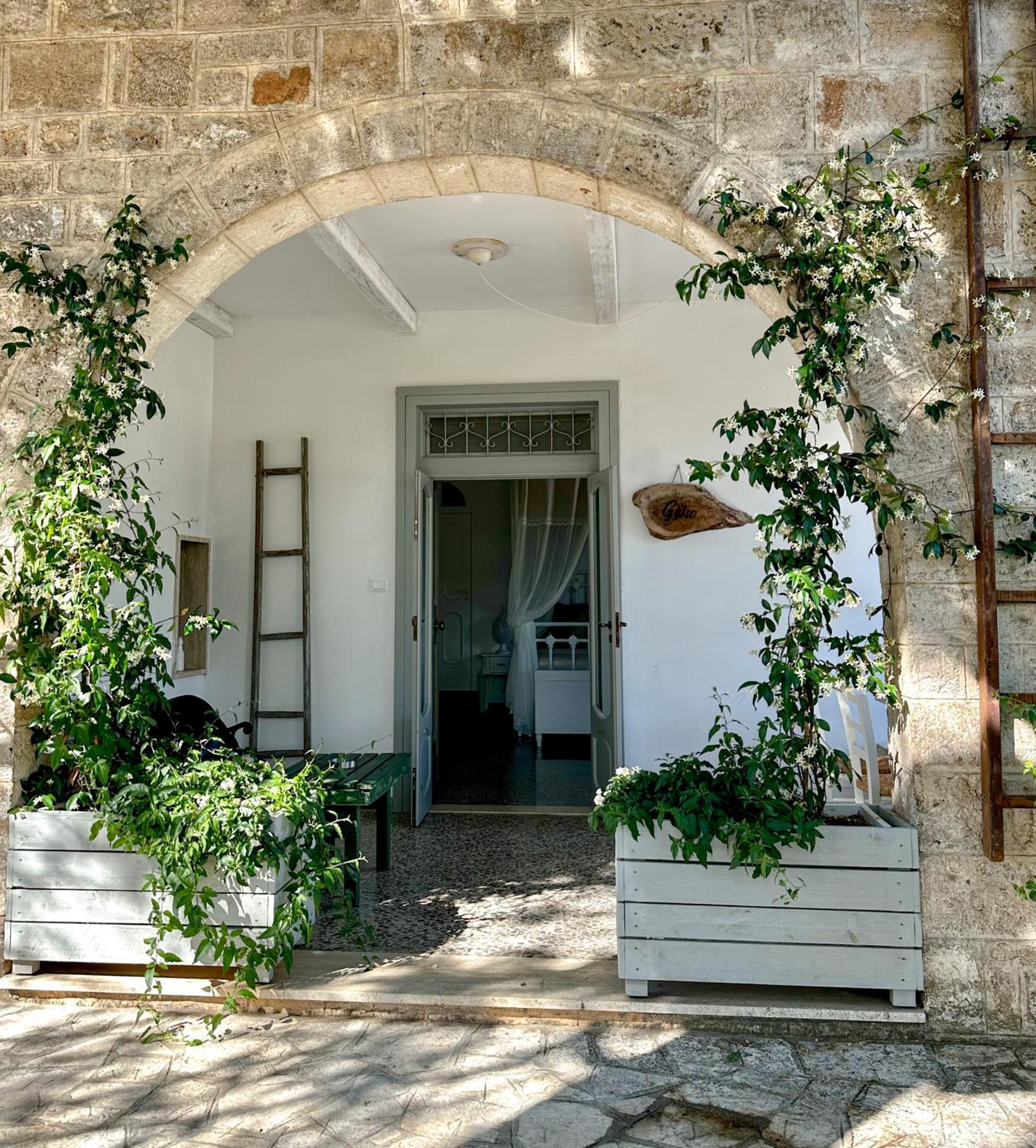 Trullo Porta Antica 호텔 셀바디파사노 외부 사진